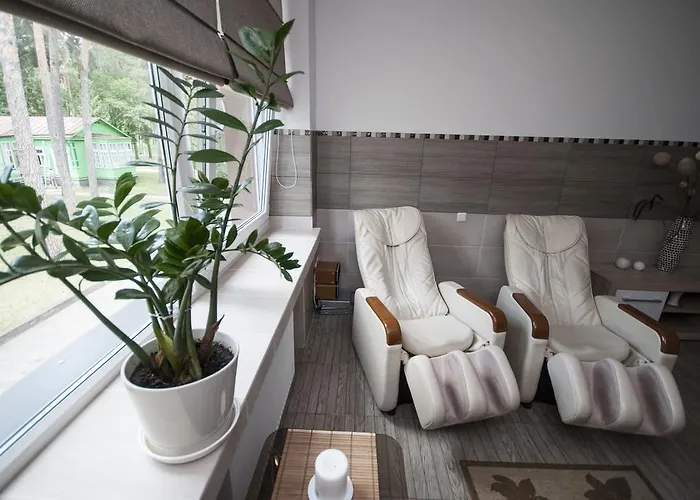 Dainava 2* Druskieniki